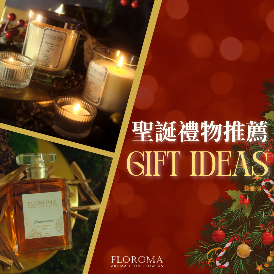 2022聖誕禮物推薦 公司派對交換禮物 $300有找