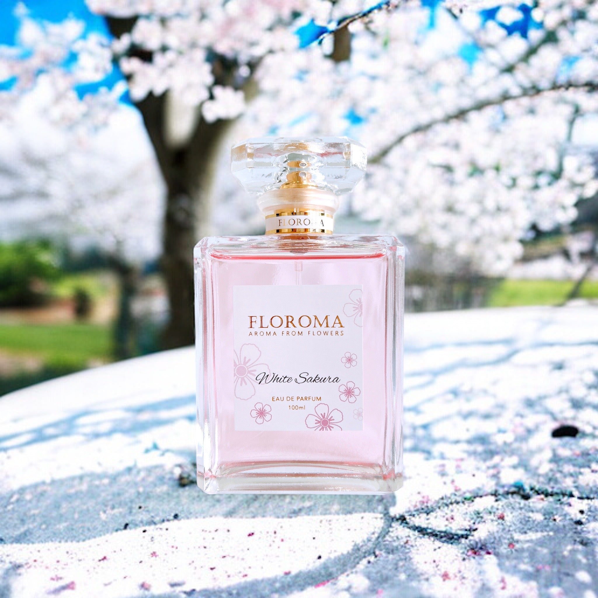 【春日限定】白櫻花香水White Sakura | Floroma 花之滴