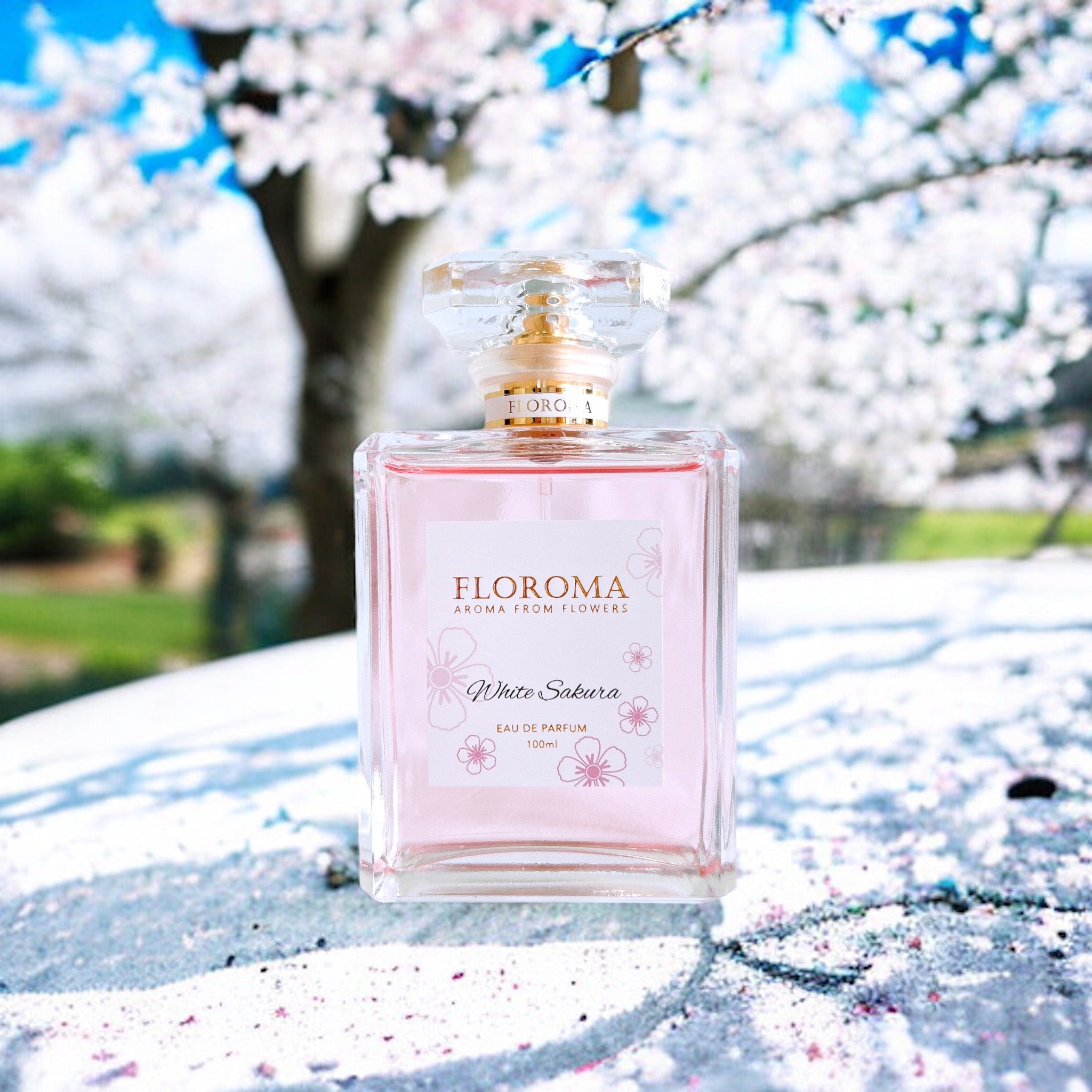 【春日限定】白櫻花香水 White Sakura