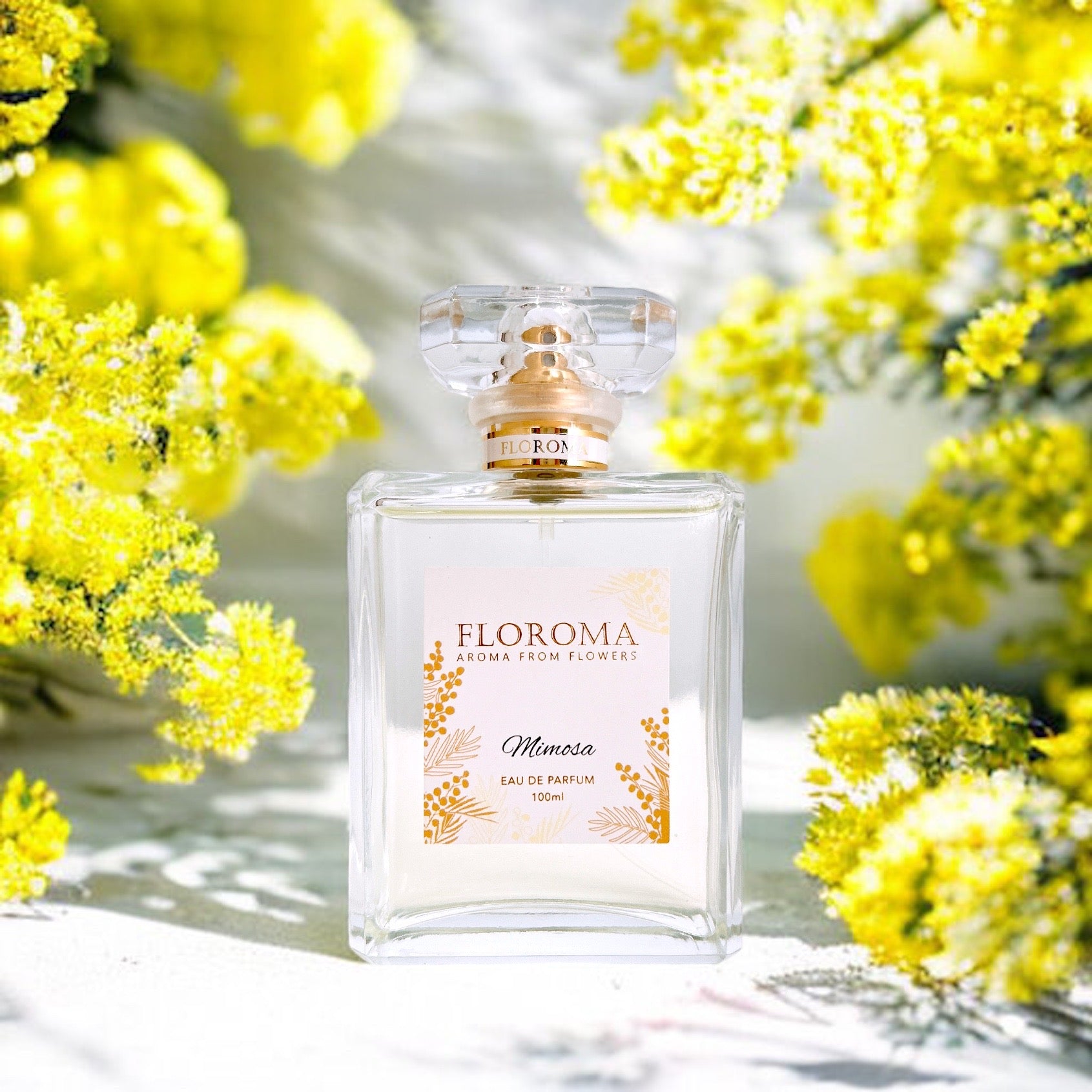 含羞草香水《小時光》Mimosa Perfume