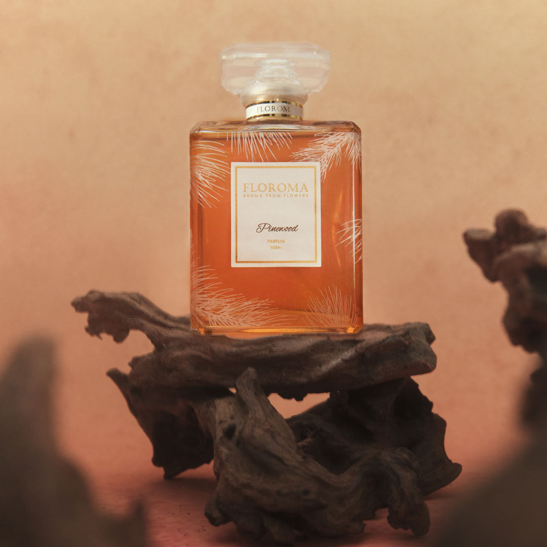 巴黎之夜·松木濃香水 Pinewood Parfum