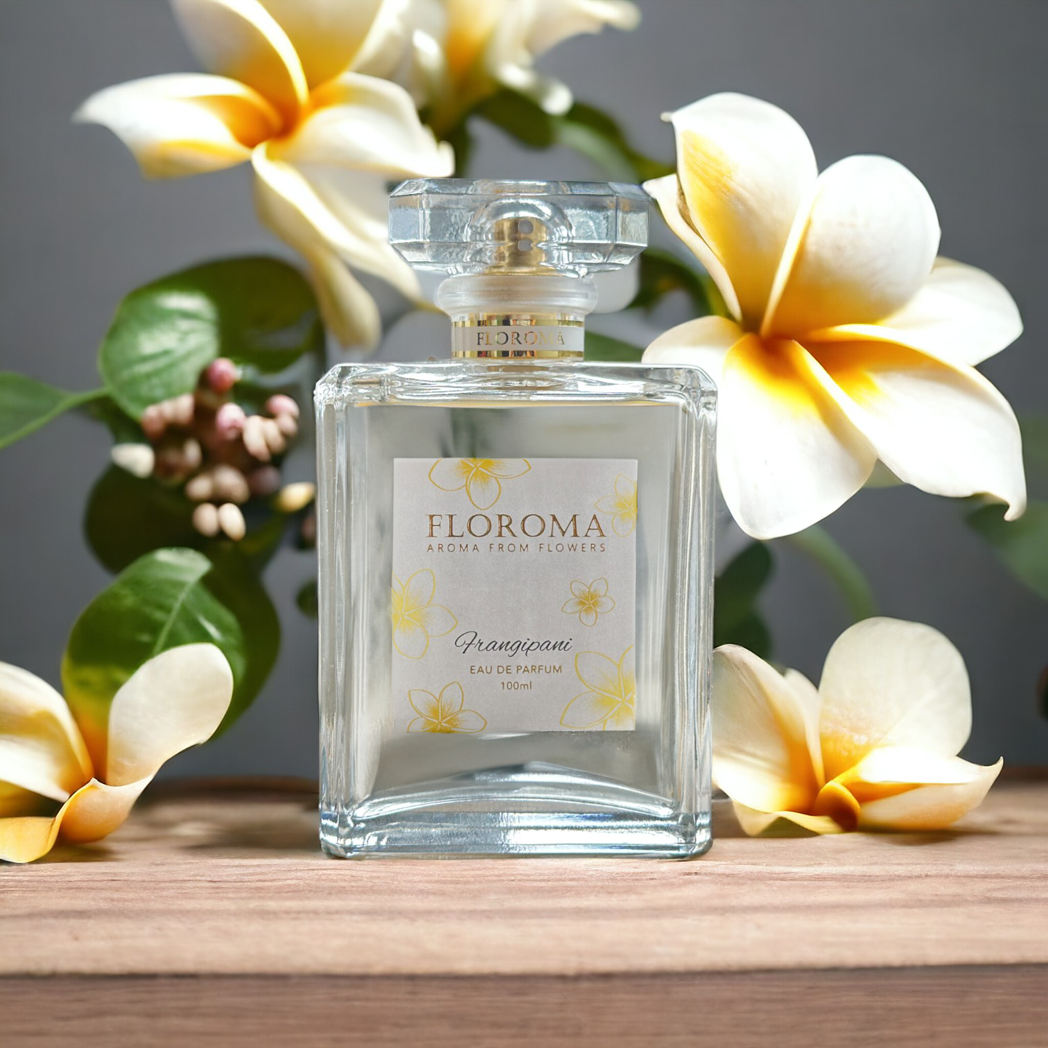 【會員30000積分+$588換】雞蛋花香水 《Frangipani》100ML