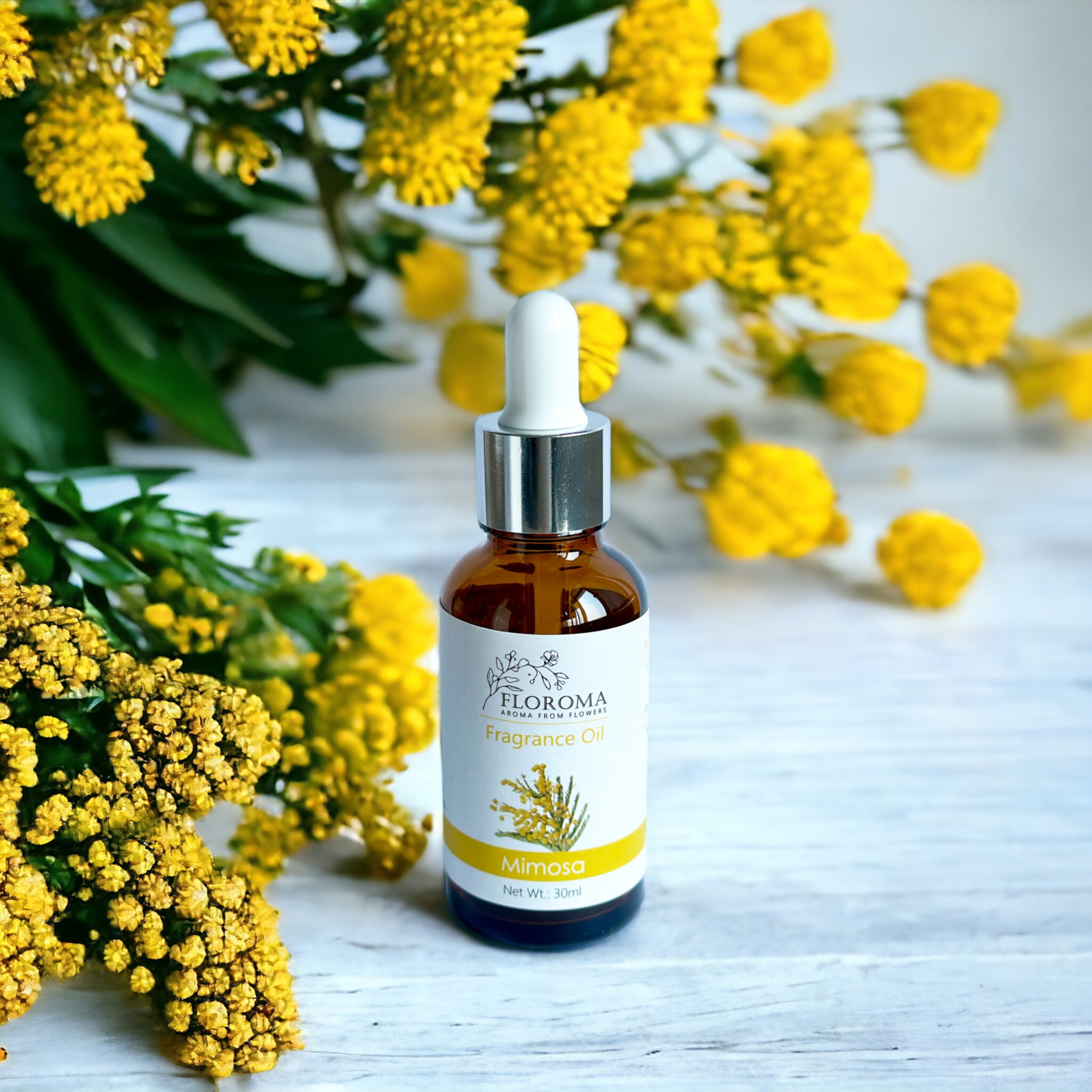 含羞草《小時光》香薰精油 Mimosa Fragrance Oil