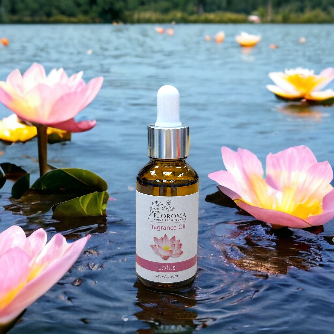 荷花香薰精油 Lotus Fragrance Oil