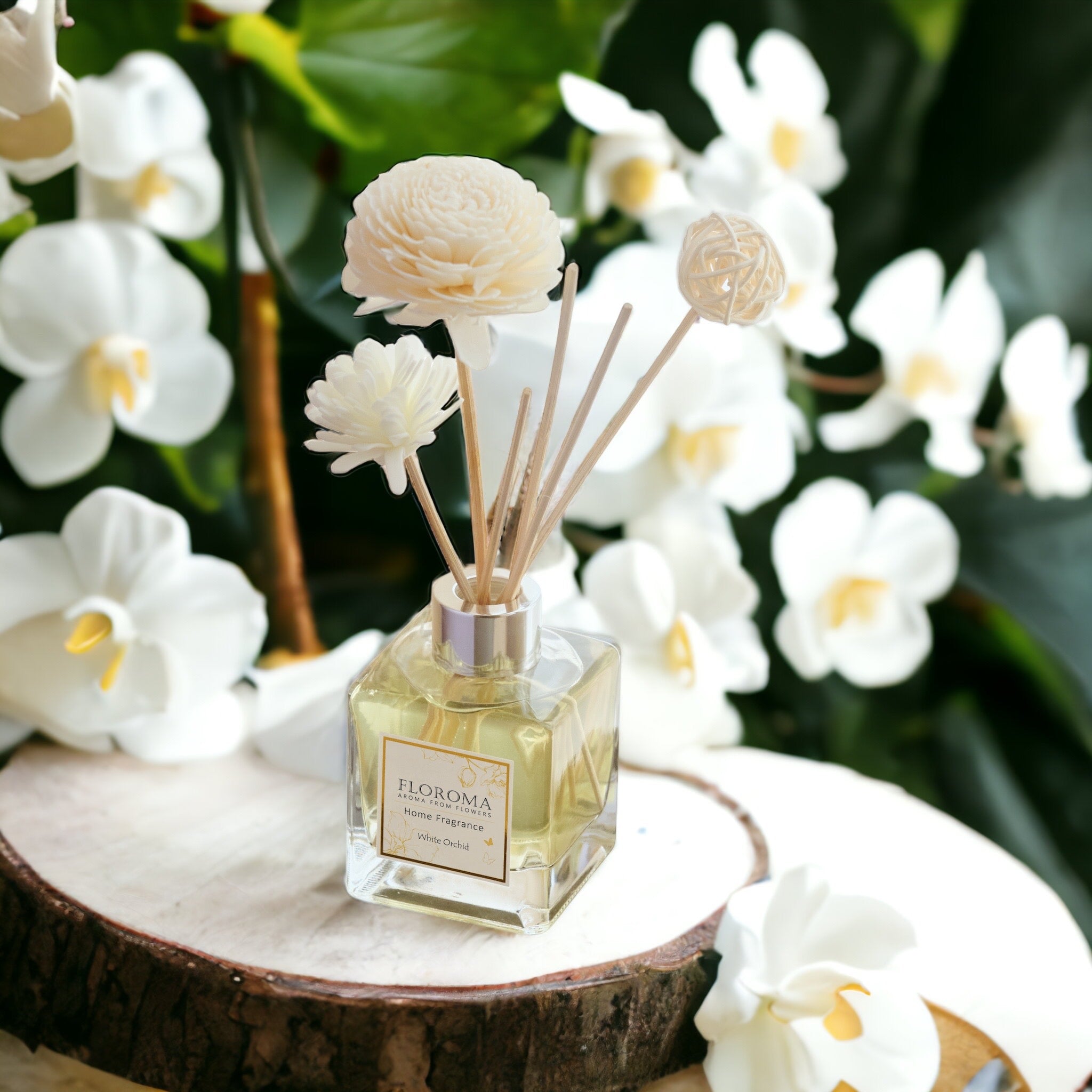 《白蘭花 White Orchid》【室內擴香瓶】 Home Diffuser