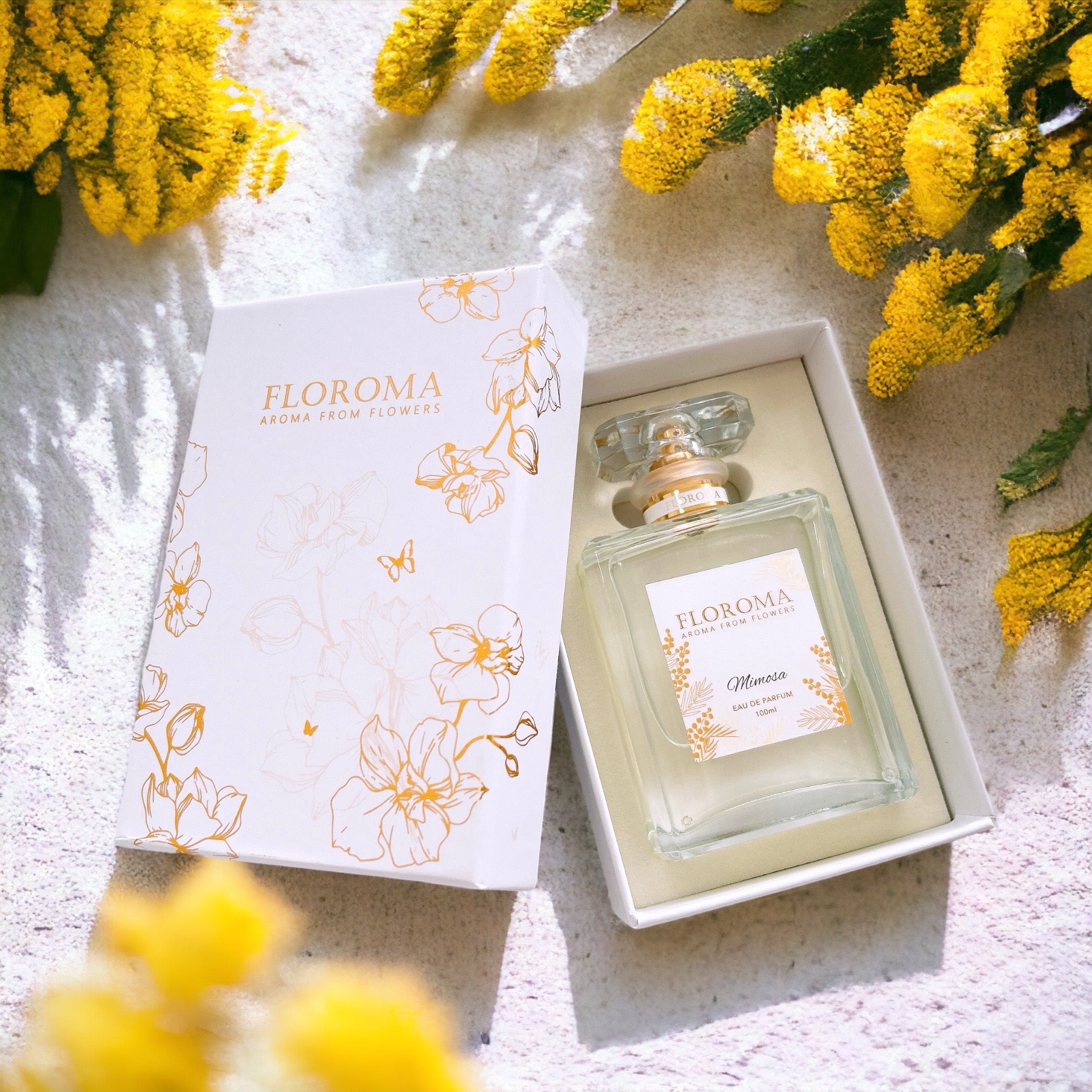 含羞草香水《小時光》Mimosa Perfume