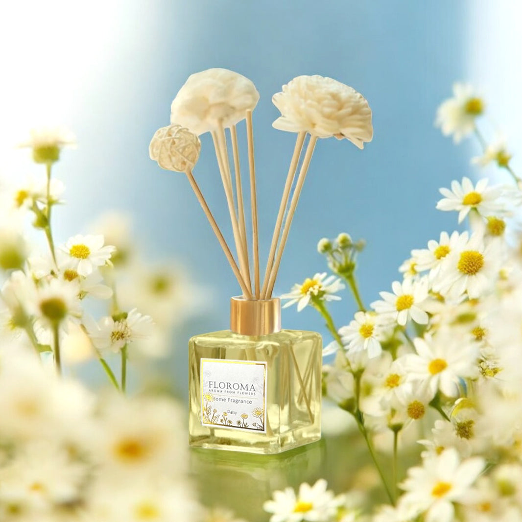 《小雛菊 Daisy》【室內擴香瓶】 Home Diffuser