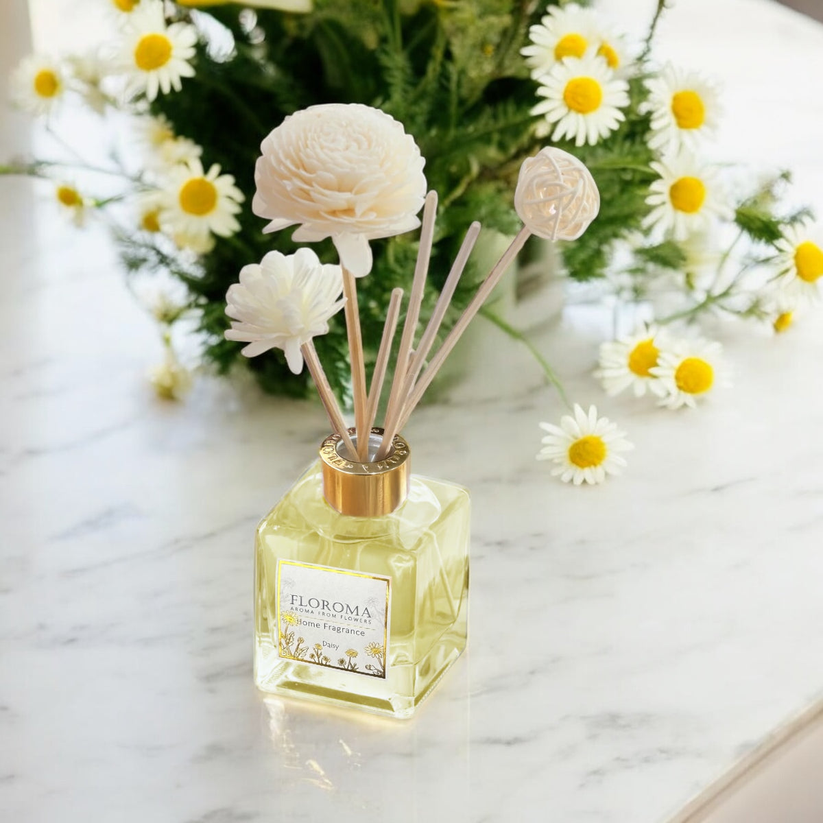 《小雛菊 Daisy》【室內擴香瓶】 Home Diffuser | Floroma 花之滴