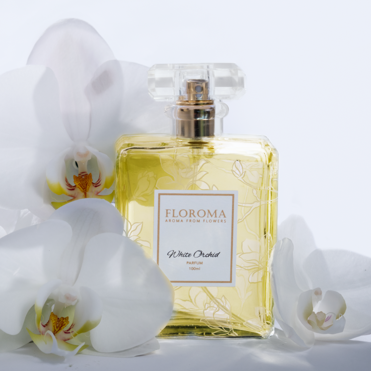 ORCHID Malaysia legendary 蘭の香水 上品 フローラル Orchid perfume