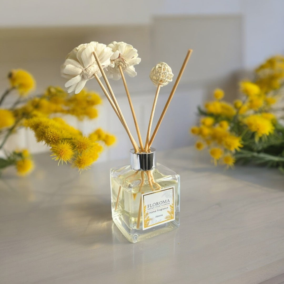 《含羞草·小時光》【室內擴香瓶】Mimosa Home Diffuser