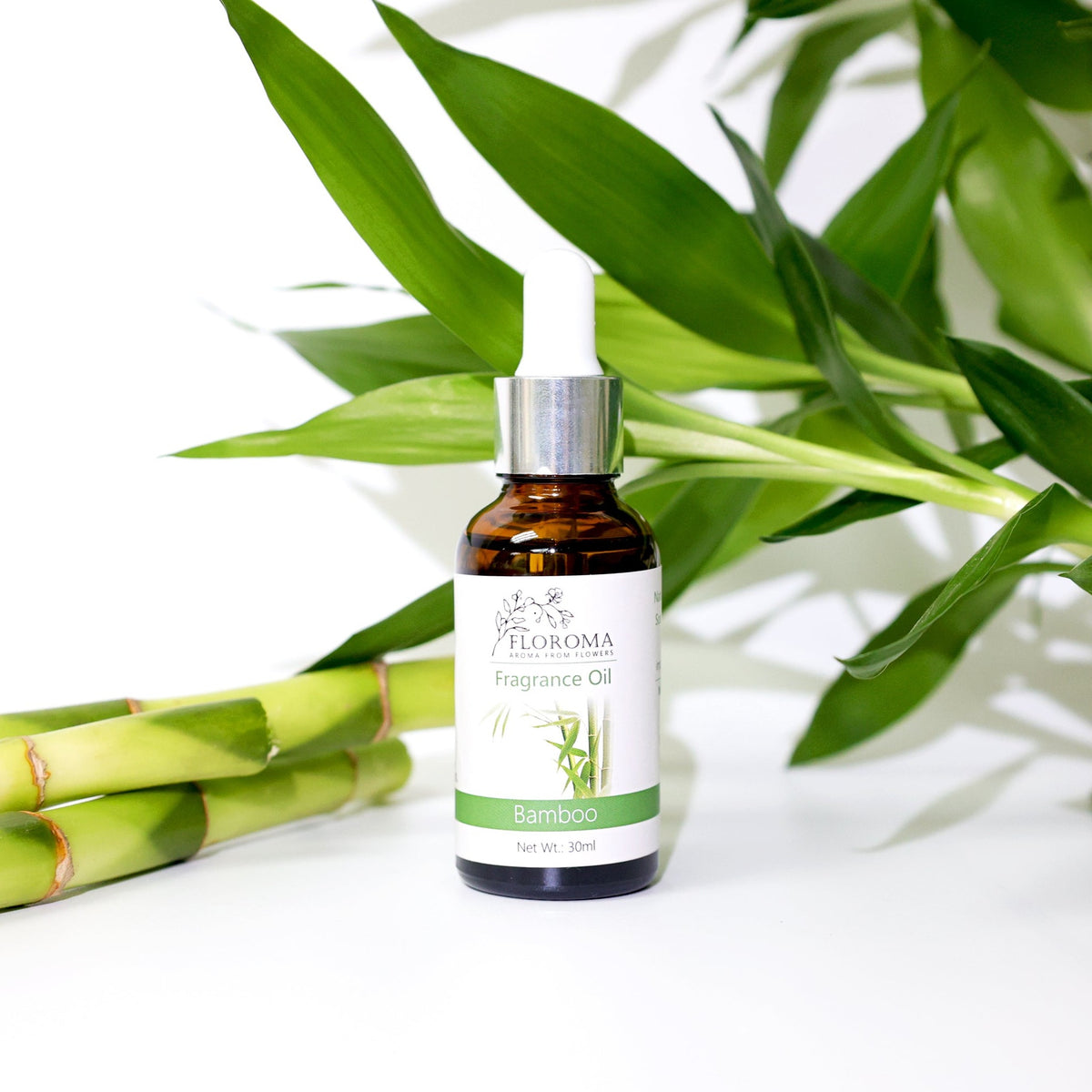 竹子香薰精油 Bamboo Fragrance Oil Floroma 花之滴