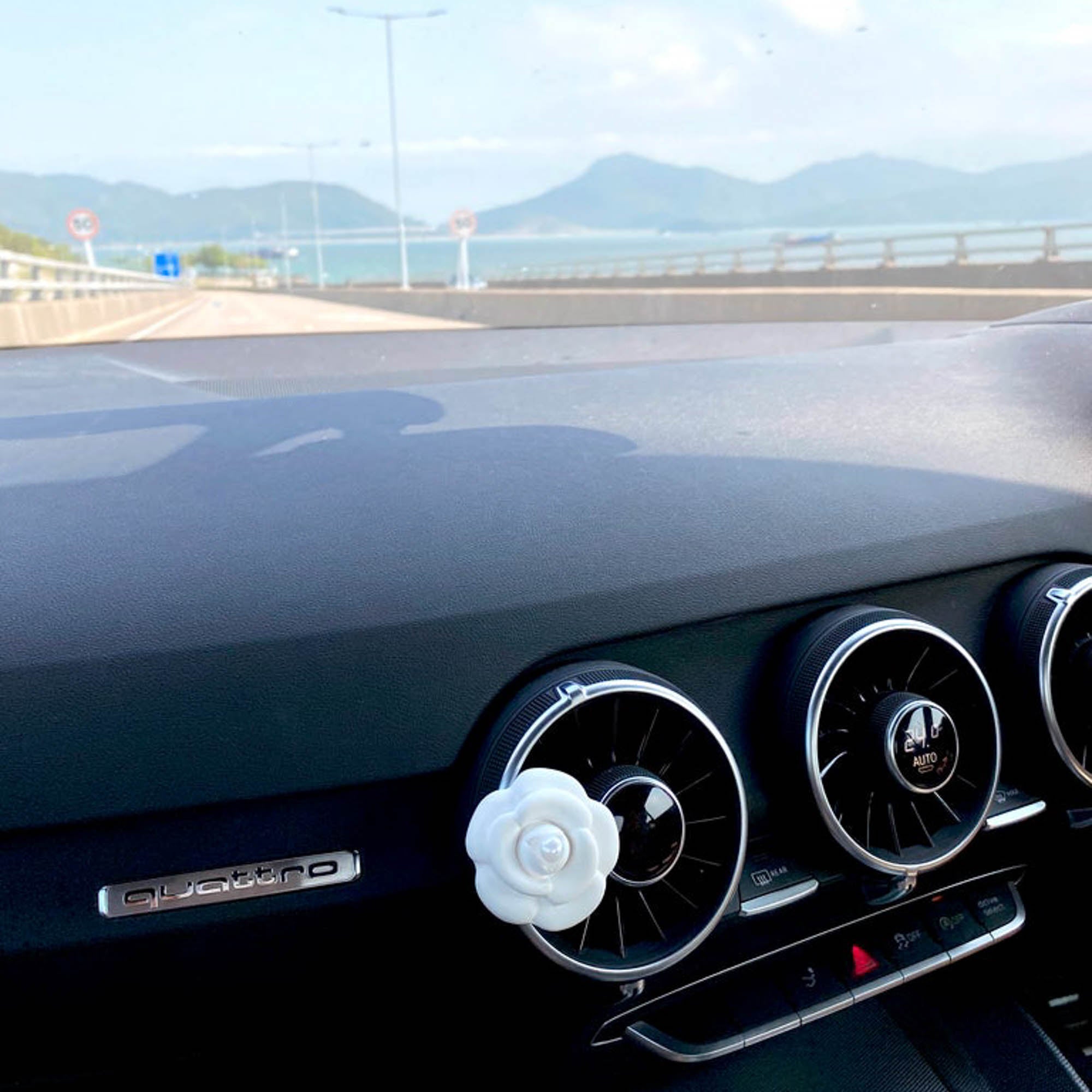 山茶花車用擴香石
