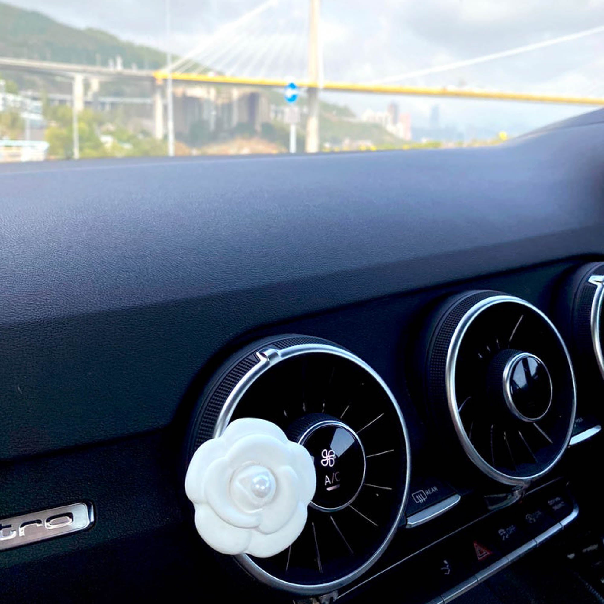 山茶花車用擴香石
