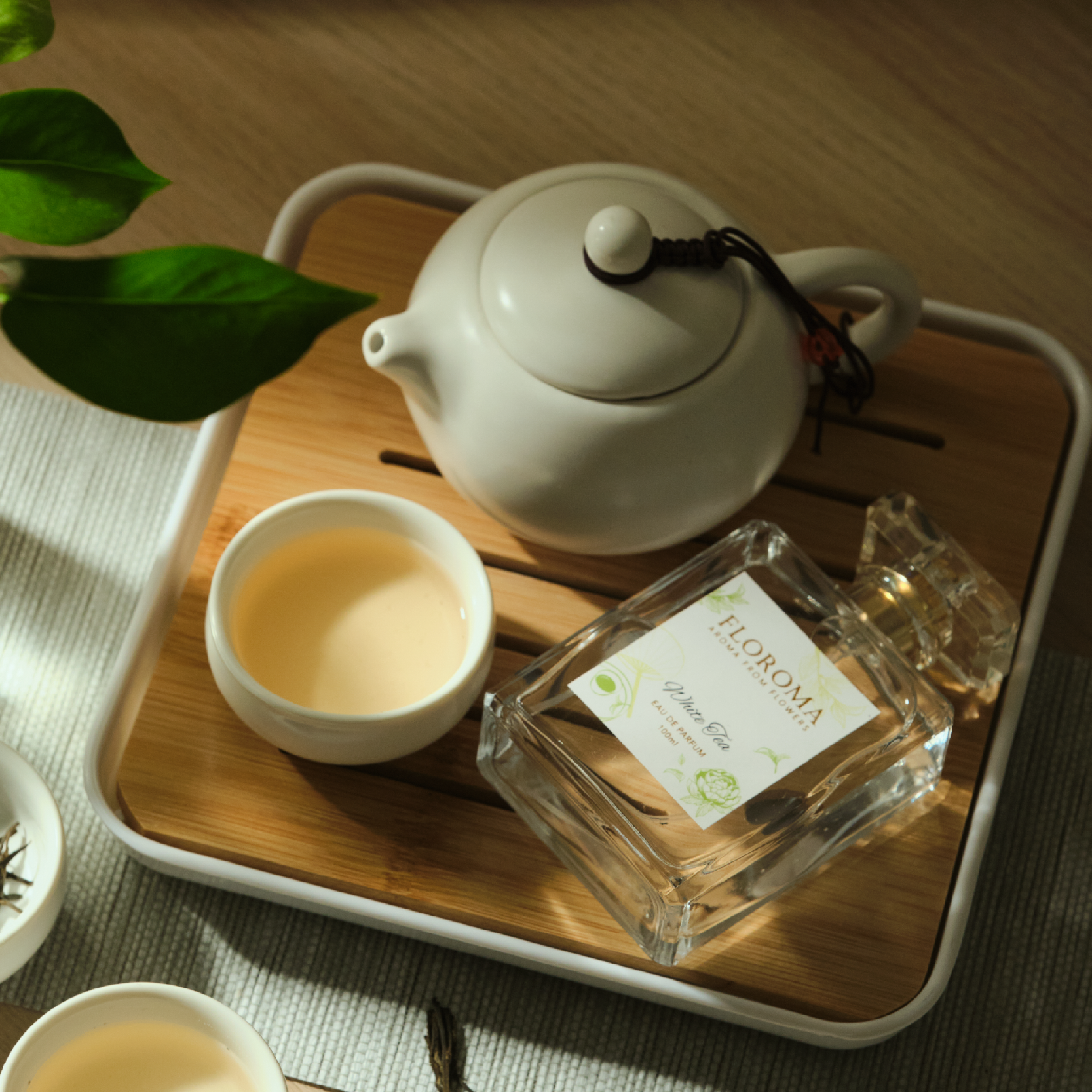 日本白茶香水《White Tea》