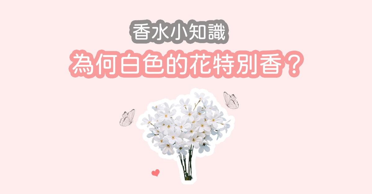 【香水小知識 - 為何🌼白色的花特別香？】