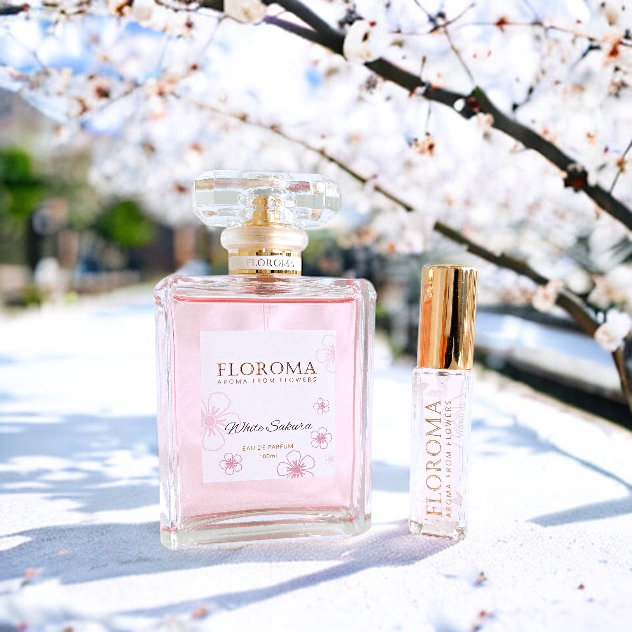 【春日限定】白櫻花香水 White Sakura