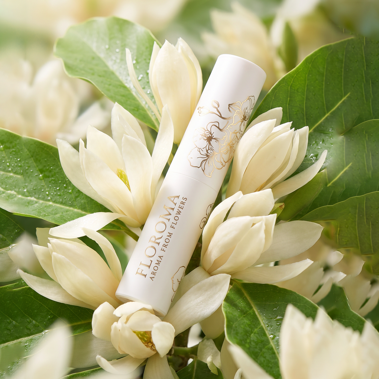 【新品優惠】白蘭花絲絨固體香膏 White Orchid Solid Parfum