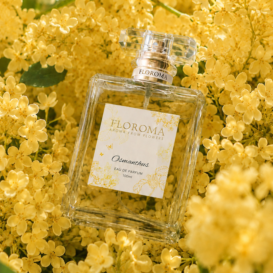 桂花香水《Osmanthus》