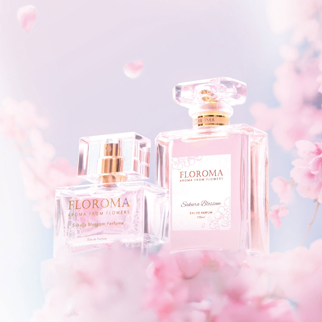 【春日限定】櫻花之舞 Sakura Blossom