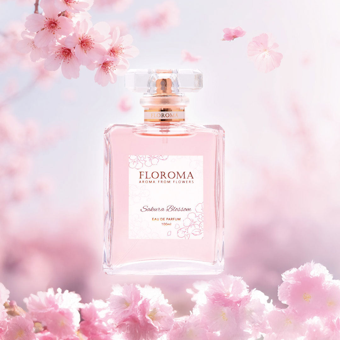 【春日限定】櫻花之舞 Sakura Blossom