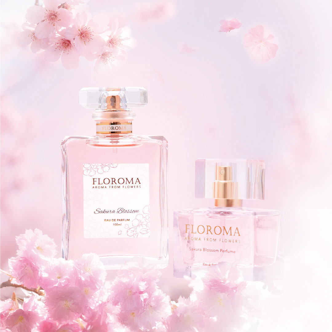 【春日限定】櫻花之舞 Sakura Blossom