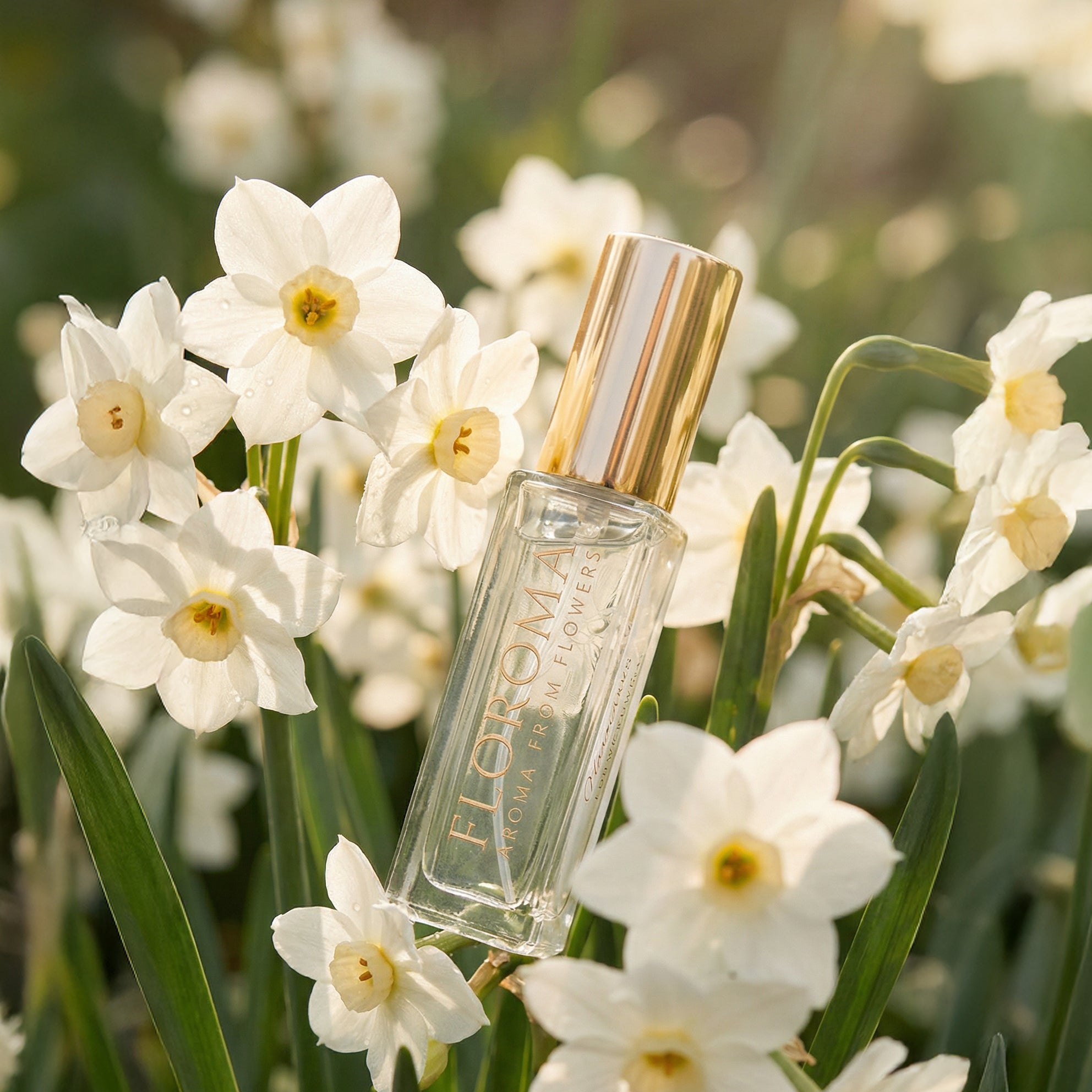 水仙花香水《Narcissus》