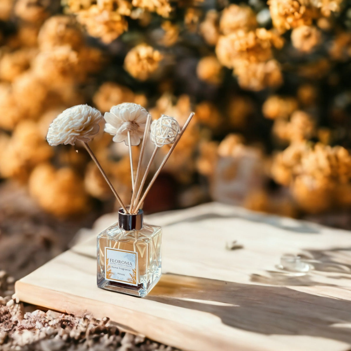 《含羞草·小時光》【室內擴香瓶】Mimosa Home Diffuser | Floroma 花之滴