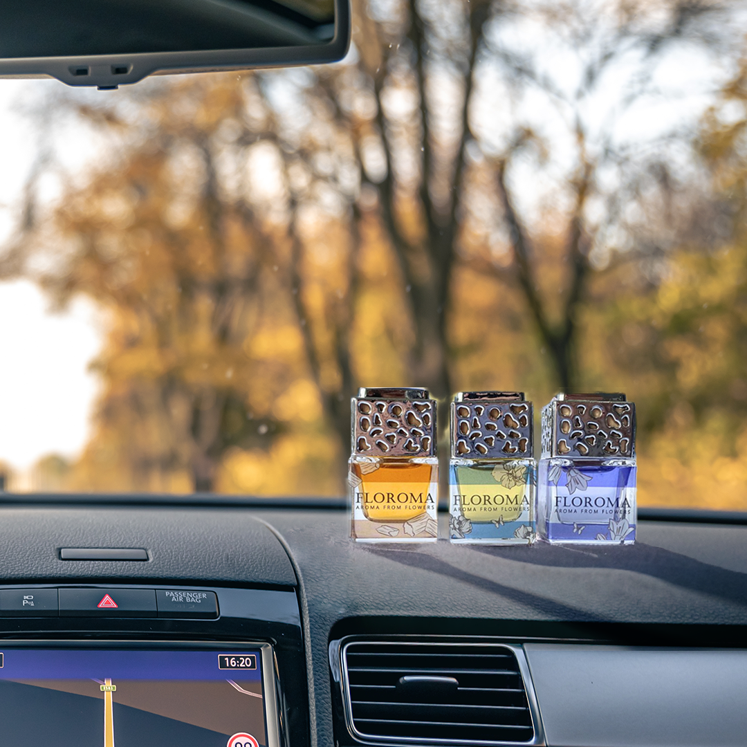 Tesla 車用精油香薰夾 Tesla Car Diffuser Clip