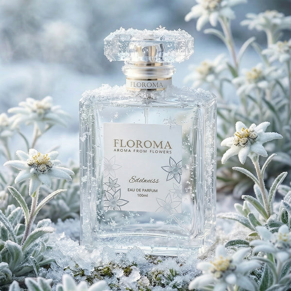 初雪·雪絨花香水Edelweiss Perfume | Floroma 花之滴