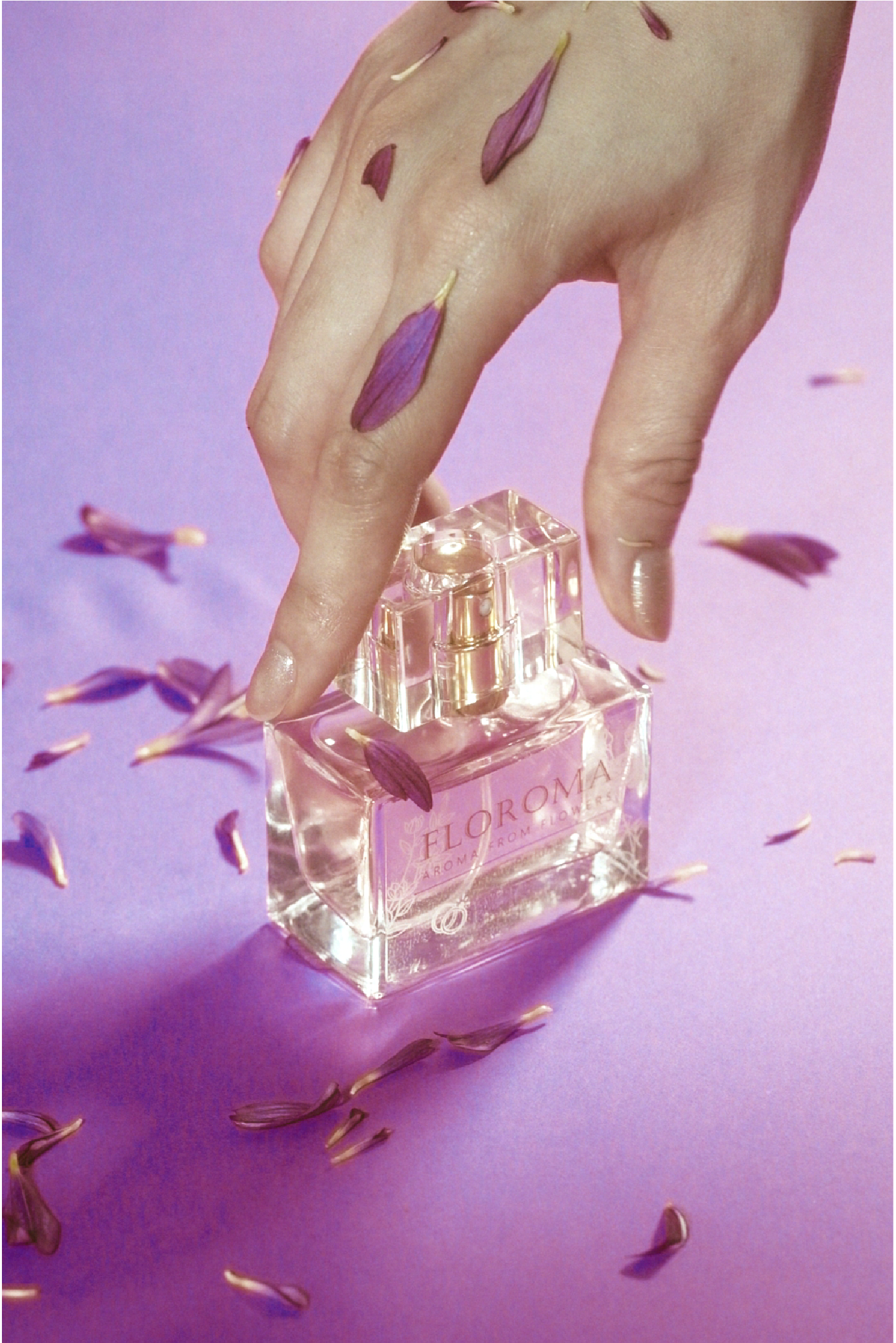 紫玫瑰香水《愛 Amour》