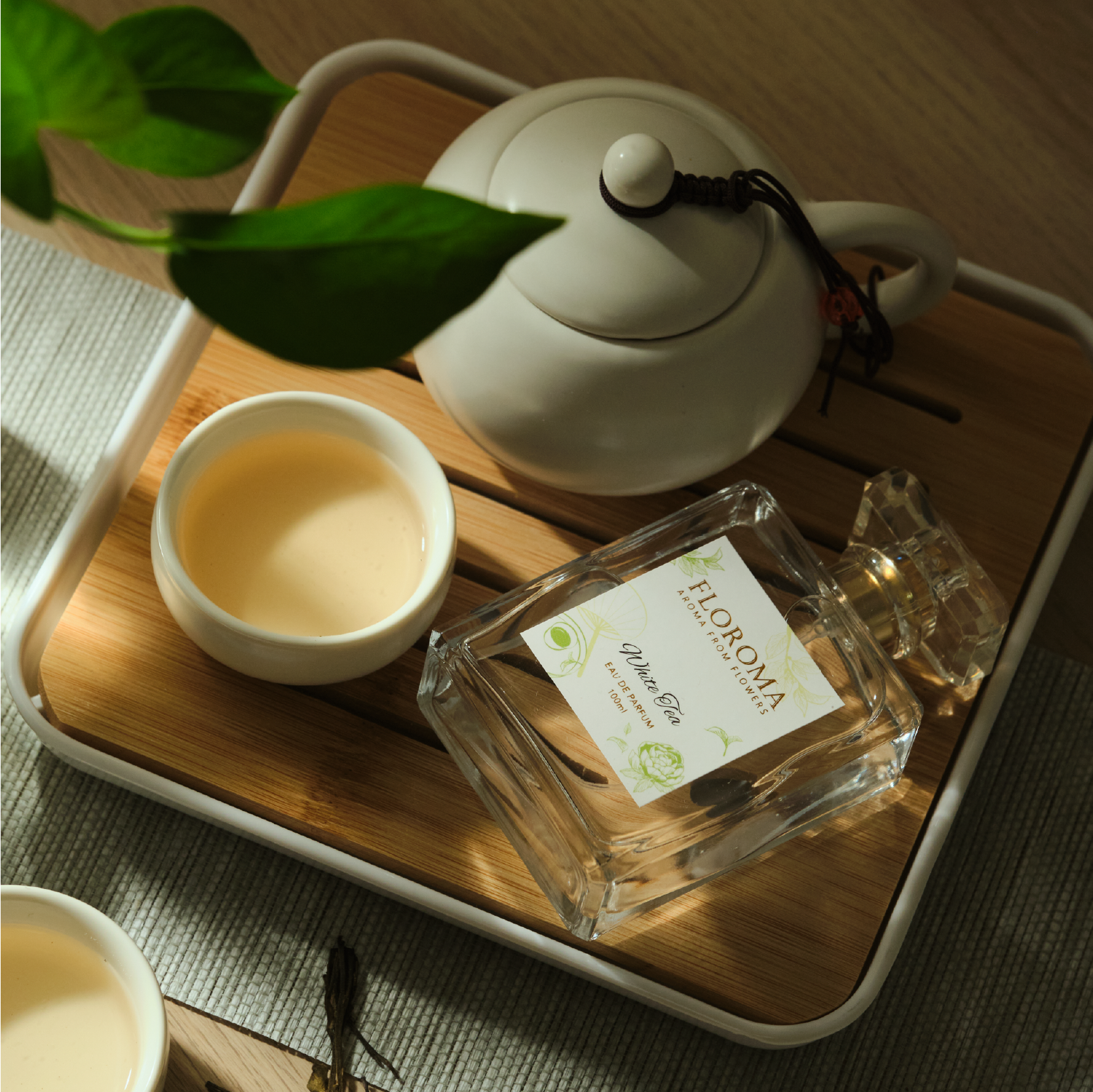 日本白茶香水《White Tea》